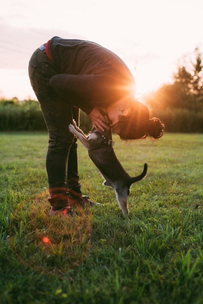 Eine Frau spielt mit ihrem Hund auf einer grünen Wiese, im Hintergrund geht die Sonne über den Bäumen unter